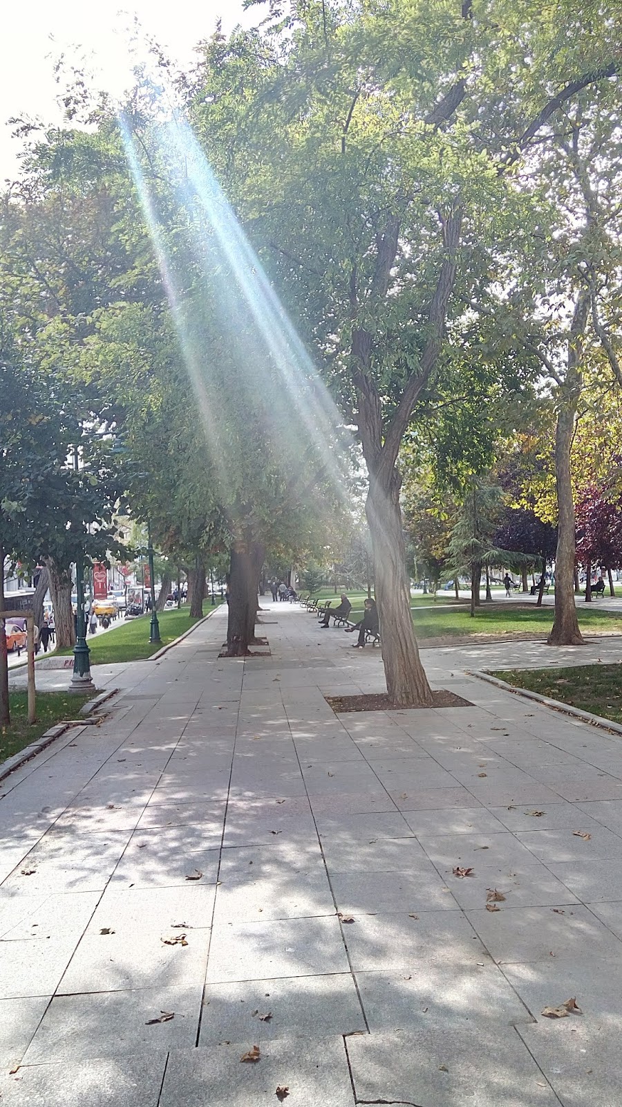 Taksim gezi parkı