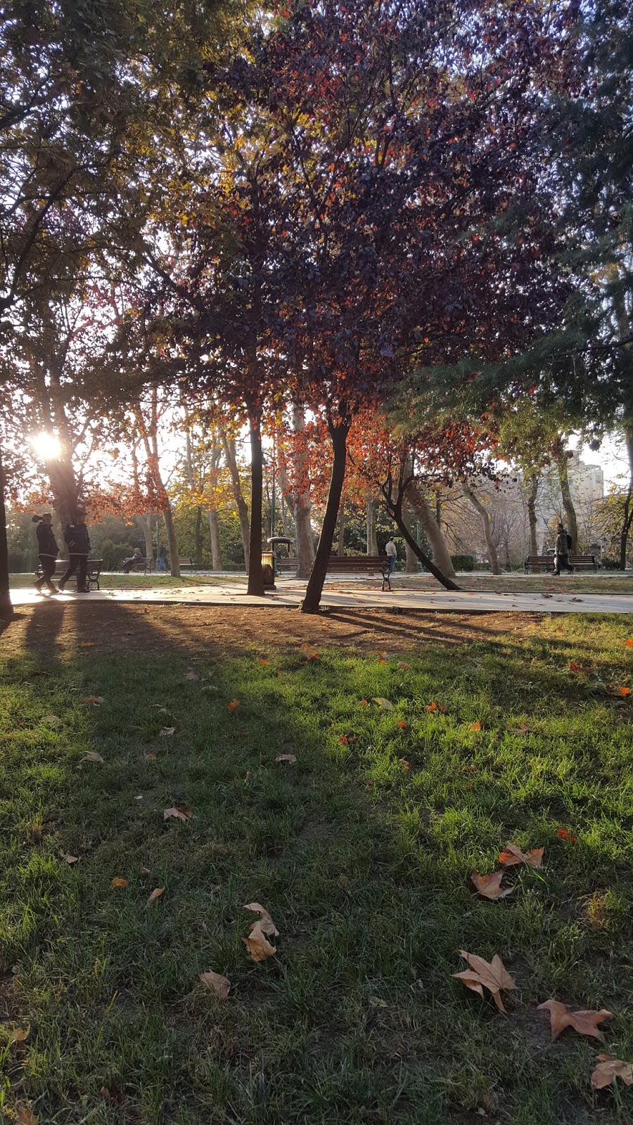 Taksim gezi parkı