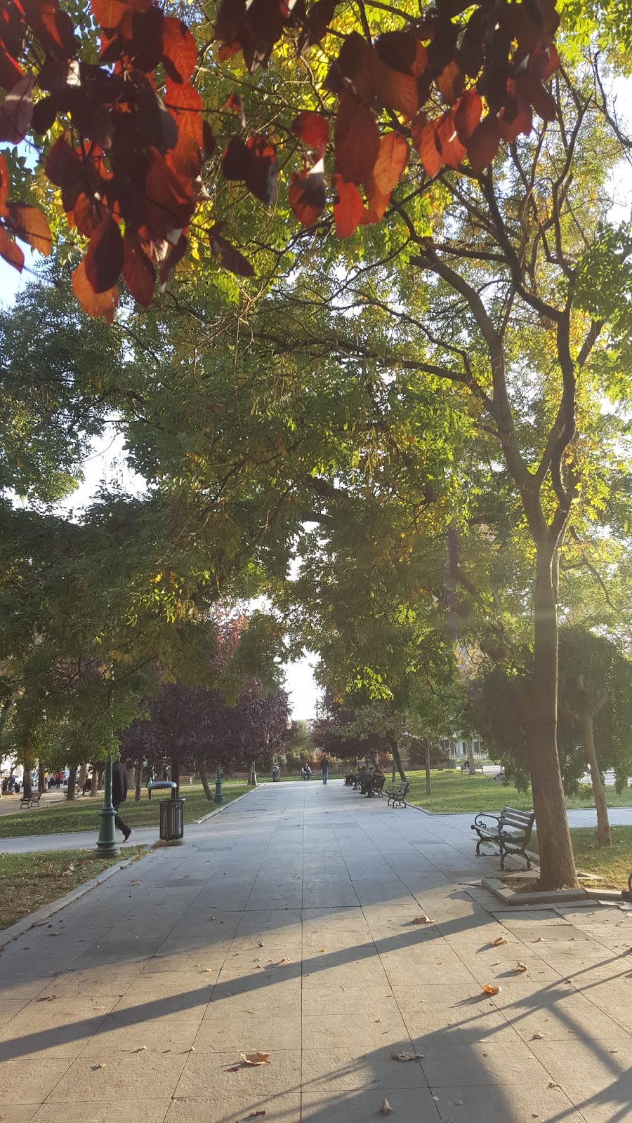 Taksim gezi parkı