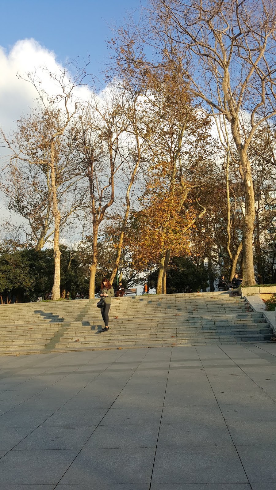 Taksim gezi parkı