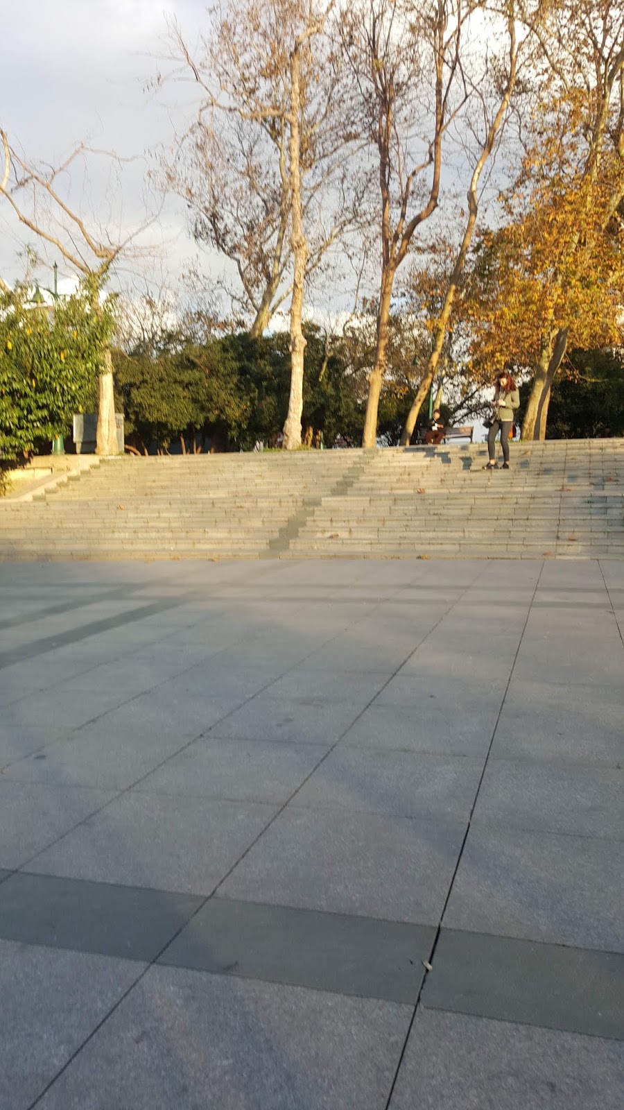 Taksim gezi parkı