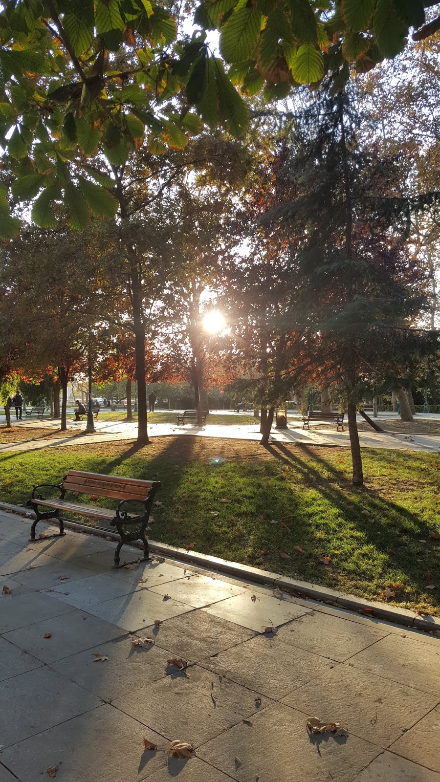 Taksim gezi parkı