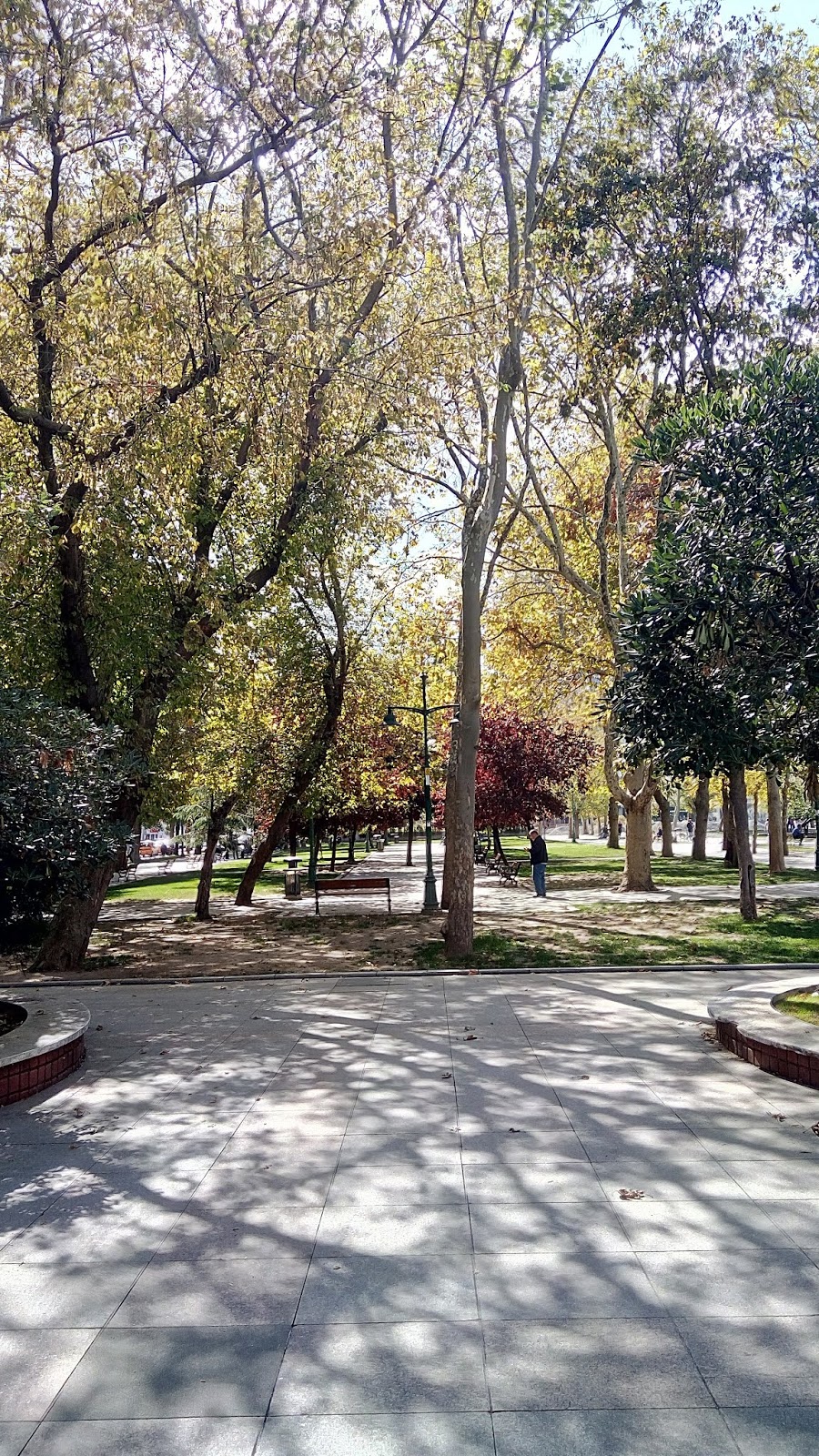 Taksim gezi parkı
