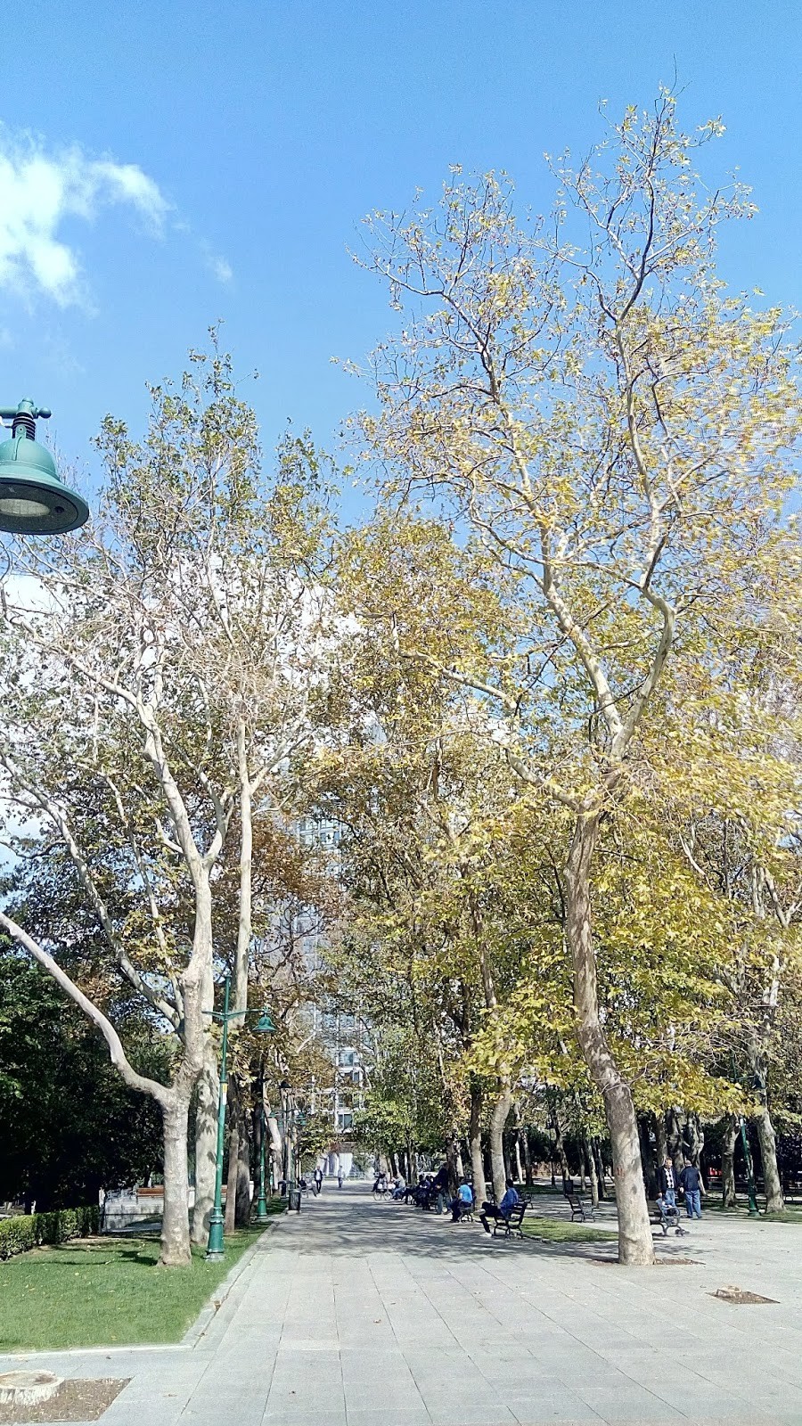 Taksim gezi parkı