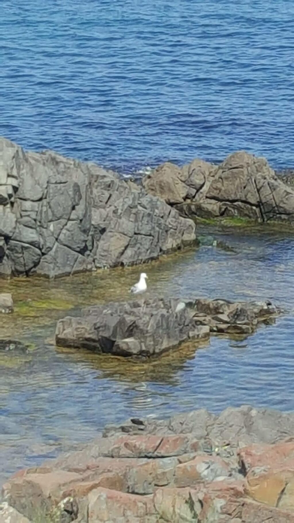 Kilyos milyon beach