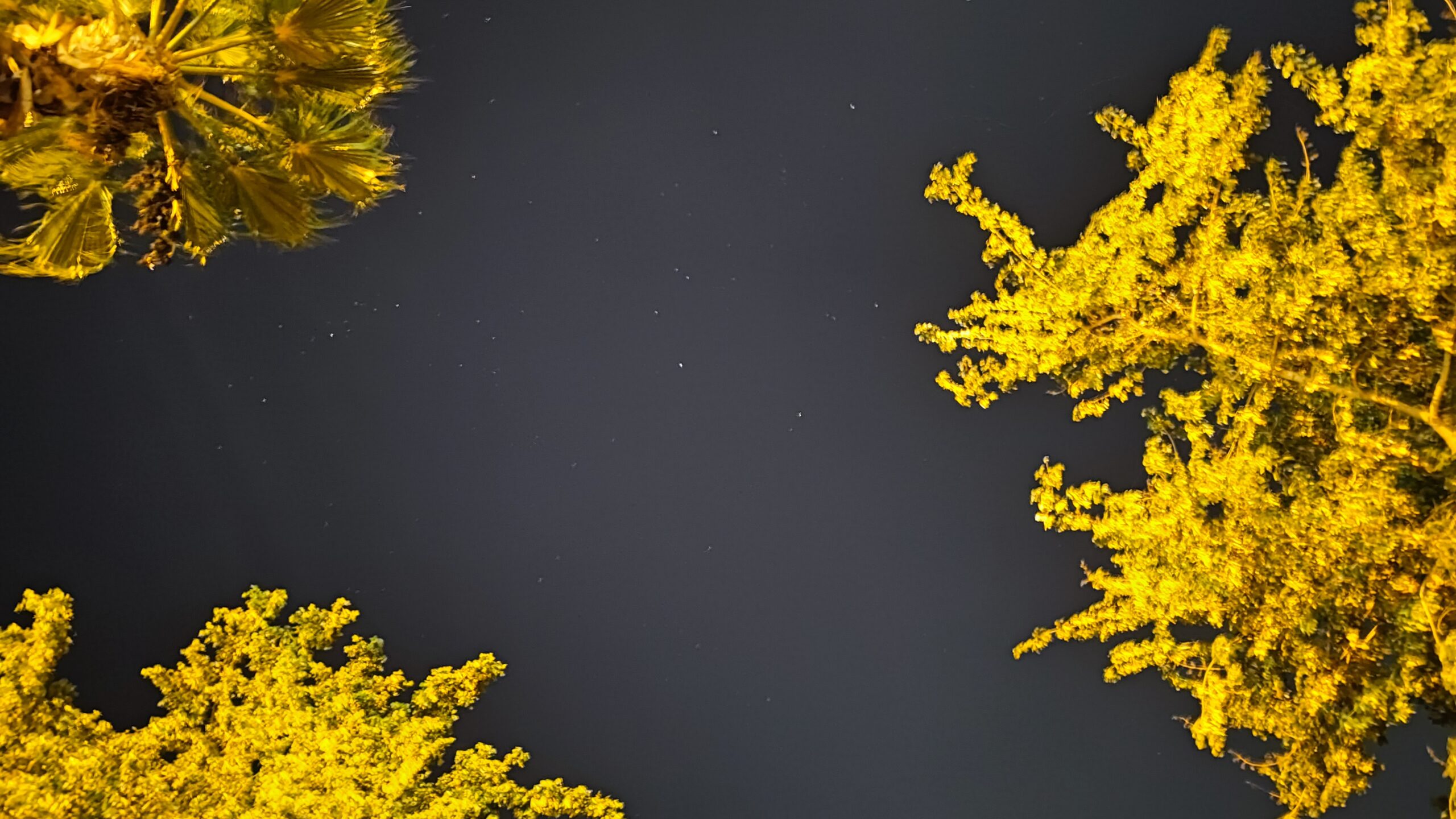 Xiaomi 11 ultra night sky