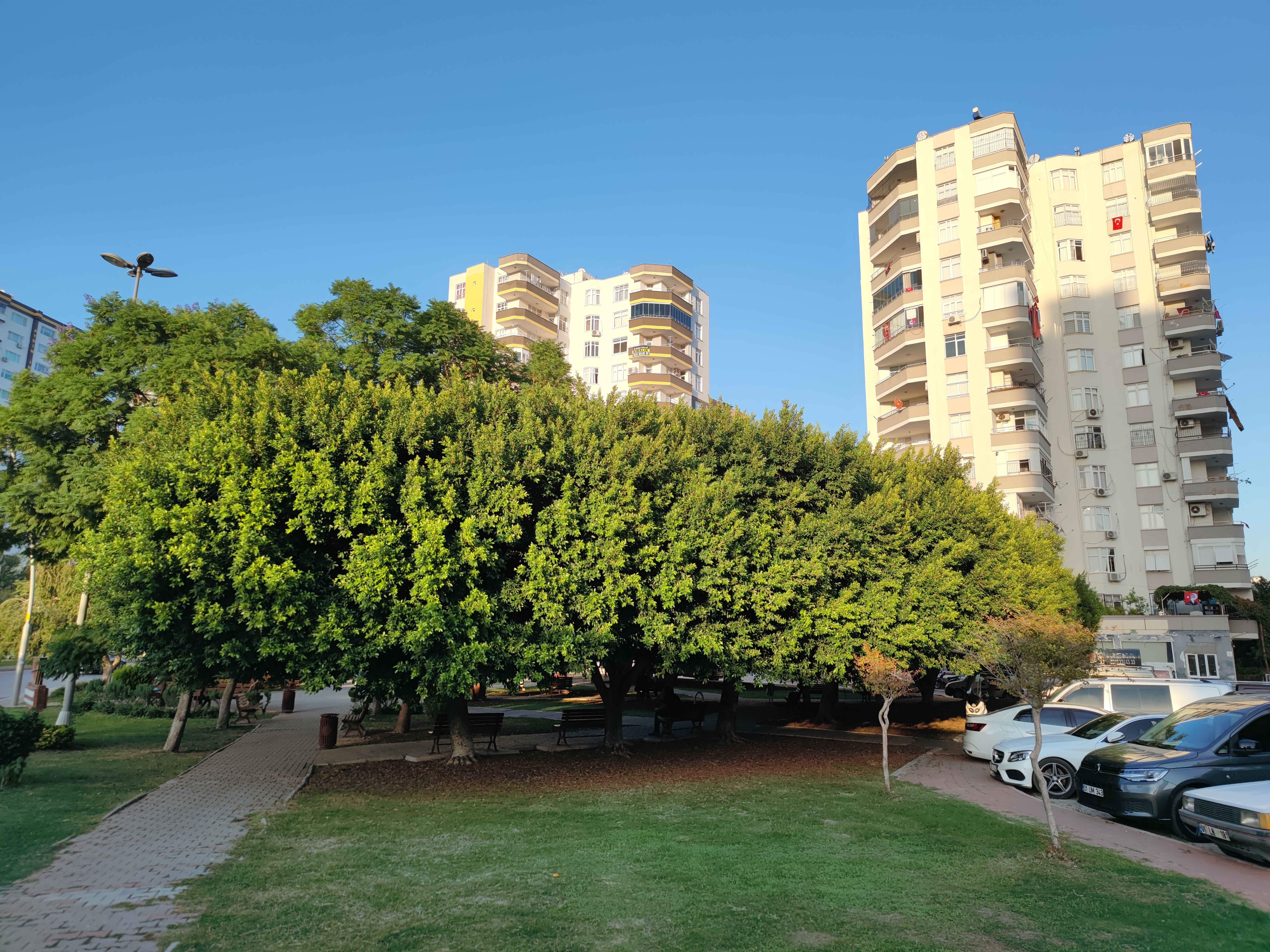 Xiaomi 11 ultra şehir manzarası