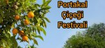 Adana portakal çiçeği festivali