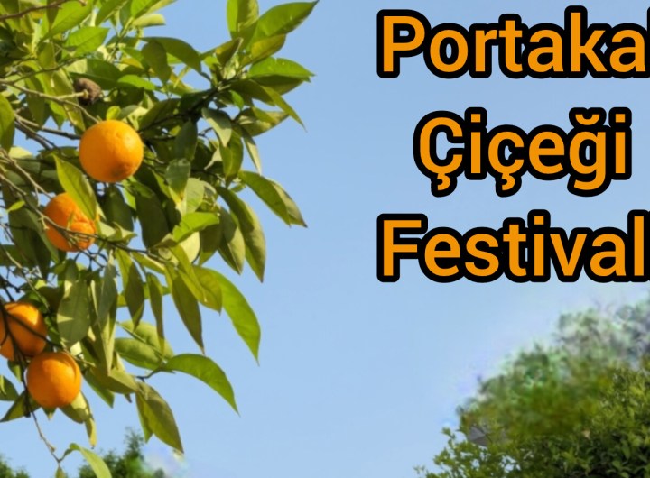 Adana portakal çiçeği festivali