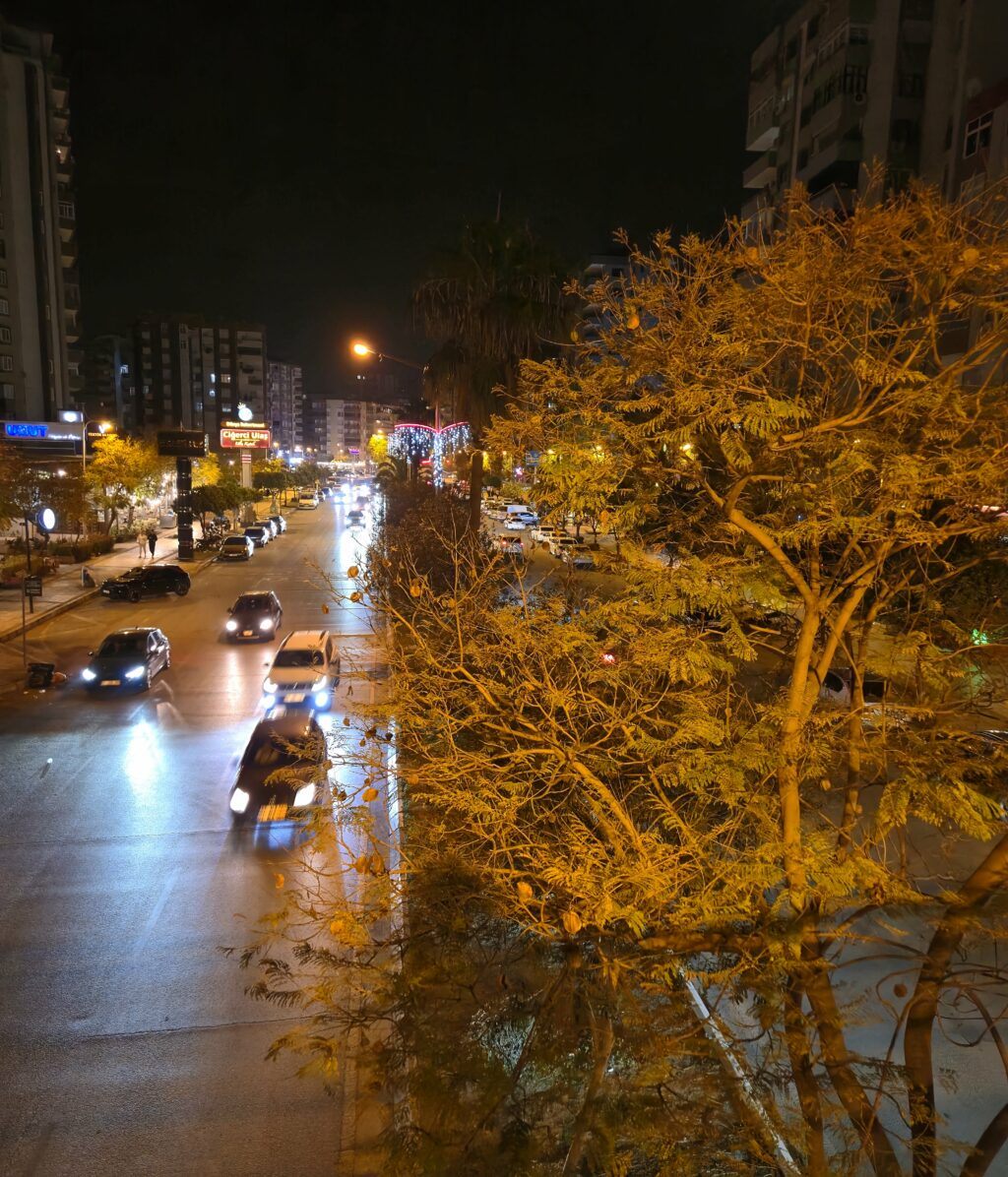 Gece çekimi bir sokak manzarası, sol tarafta yaprak döken ağaçlar ve sağda hareket eden araçlar ile birlikte aydınlatılmış bir cadde.